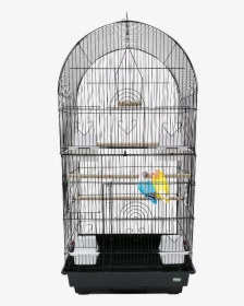 Bird Cage, HD Png Download, Free Download