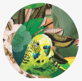 Who"s A Pretty Bird Pocket Mirror - Budgie, HD Png Download, Free Download