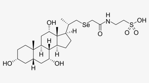 Tauroursodeoxycholic Acid, HD Png Download, Free Download