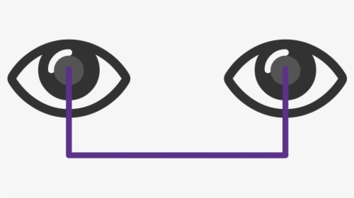 Pd1 - Distance Between Eyes Png, Transparent Png, Free Download