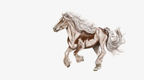 Horse Drawing Digital, HD Png Download, Free Download