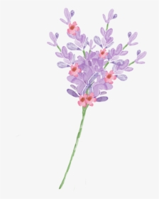 Mira & Graphic Watercolor & Swirls Example Image - Artificial Flower, HD Png Download, Free Download