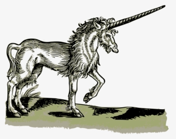 Medieval Unicorn Drawing, HD Png Download, Free Download