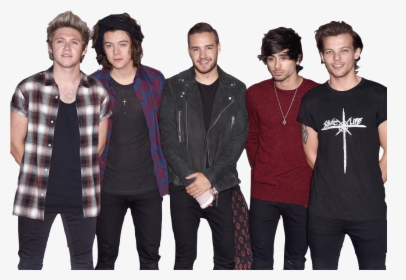 One Direction At The Iheartradio Festival 2014 Sorry - Sonic Youth Sonic Life, HD Png Download, Free Download