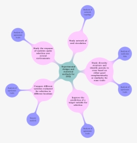 Decision Tree With Objectives And Type Of Analysis, HD Png Download, Free Download