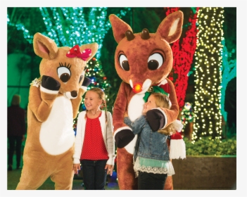 San Diego Zoo Christmas, HD Png Download, Free Download