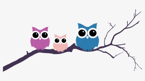 Tree Clipart Owl - Owl On A Branch Drawing, HD Png Download, Free Download