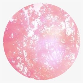 #freetoedit #circle #pink #leaves #tree #trees #circlepng - Circle, Transparent Png, Free Download