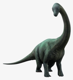 Jurassic World Dinosaurs Apatosaurus, HD Png Download, Free Download