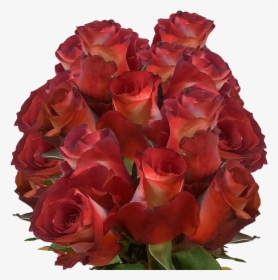 Order Leonidas Roses - Floribunda, HD Png Download, Free Download