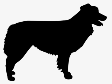 German Wirehaired Pointer Silhouette, HD Png Download, Free Download