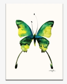 Abstract Watercolor Painting Butterflies Watercolor, HD Png Download, Free Download