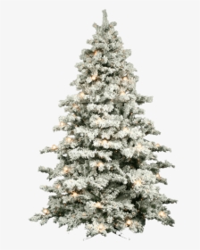 Snow Covered Christmas Tree, HD Png Download, Free Download