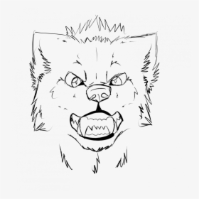 How To Draw An Wolf Head A Front View - Cool Wolf Easy Drawing, HD Png Download, Free Download