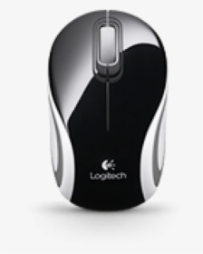 Computer Mouse, HD Png Download, Free Download