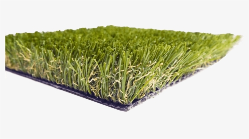 Champ Dark Synthetic Turf - Sweet Grass, HD Png Download, Free Download