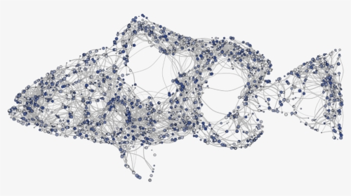 Fish Diff 01-01 1500 - Crochet, HD Png Download, Free Download
