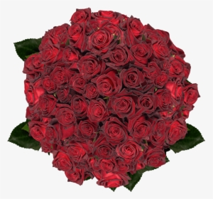 Best Black Roses - Rose, HD Png Download, Free Download