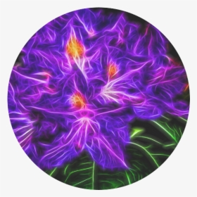 Rhododendron Topaz Round Mousepad - Iris, HD Png Download, Free Download