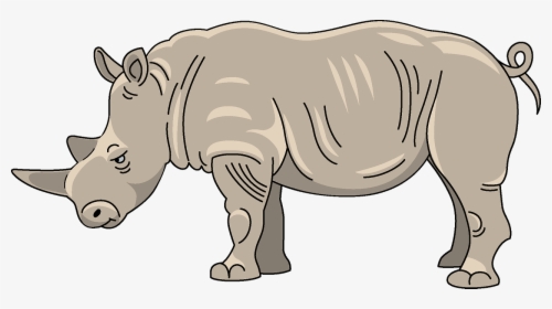 White Rhinoceros, HD Png Download, Free Download