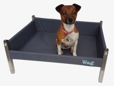 Henry Wag Elevated Dog Bed, HD Png Download, Free Download