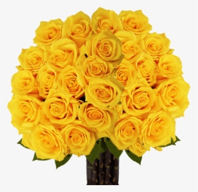 Extra Long Stem Fresh Cut Gold Roses - Garden Roses, HD Png Download, Free Download