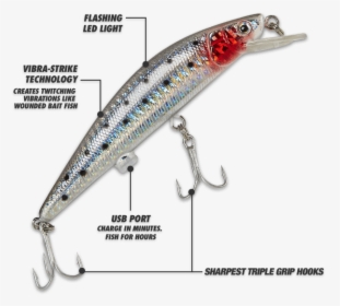 Twitching Lure Reviews - Fishing Rechargeable, HD Png Download, Free Download