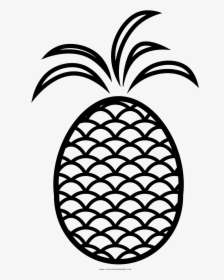 Pineapple Coloring Page - Fruit Color Pages Png, Transparent Png, Free Download