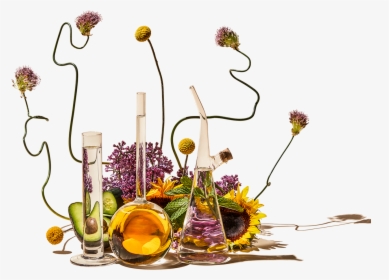 Bouquet, HD Png Download, Free Download