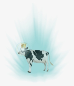 Joke Battles Wiki - Transparent Cow, HD Png Download, Free Download