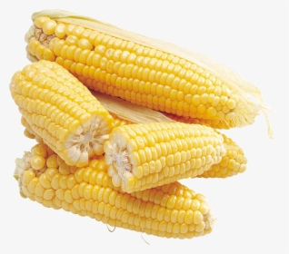 Corn Png Image - Горячий Кукуруз Пнг, Transparent Png, Free Download