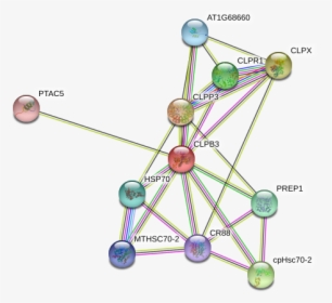 Clpb3 Protein - Circle, HD Png Download, Free Download