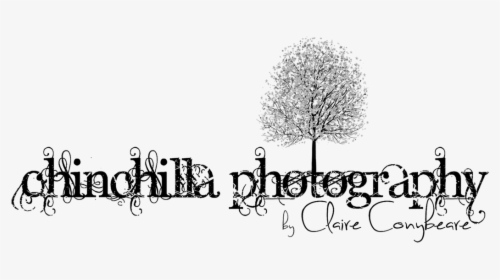 Picture, HD Png Download, Free Download