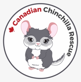 Canadian Chinchilla, HD Png Download, Free Download