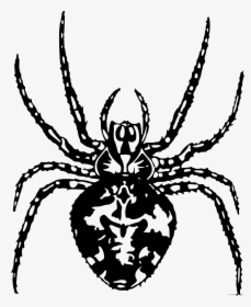 Spider Clipart Black And White Free - Araignée Dessin, HD Png Download, Free Download