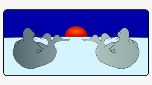 Seals In The Sunset - Bocce, HD Png Download, Free Download