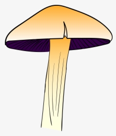 Agaricus, HD Png Download, Free Download