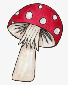 For An Echanted Woodlands - Flower And Mushroom Clipart, HD Png Download, Free Download