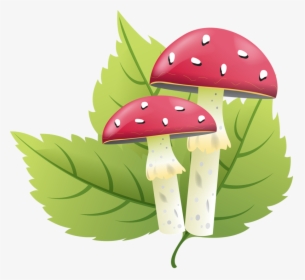 Shrooms Pinterest Mushrooms - Слова На Буква Г, HD Png Download, Free Download