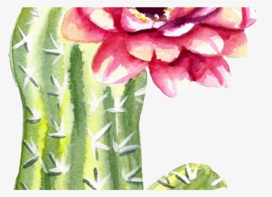 Green Watercolor Hand Painted Cactus Flower Transparent - Cactus Flower Png, Png Download, Free Download