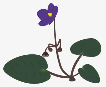Saintpaulia Graphic Flower Svg Clip Arts - African Violets, HD Png Download, Free Download