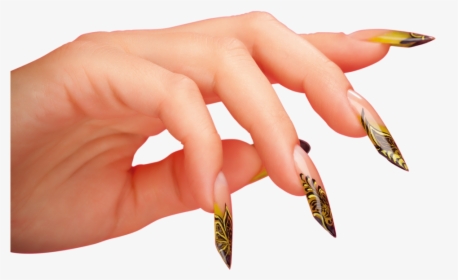 Formação De Unhas De Fibra De Vidro - Nail Polish, HD Png Download, Free Download