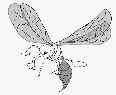 Freehand Mosquito - Mosquito Clip Art, HD Png Download, Free Download