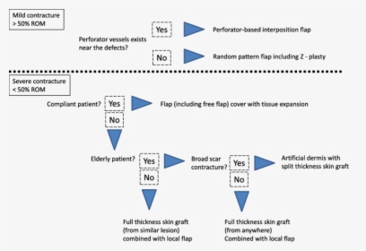 Electric Burn Algorithm, HD Png Download, Free Download