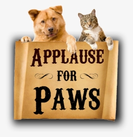 Applause For Paws - Companion Dog, HD Png Download, Free Download