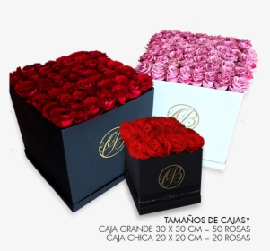 Caja Cuadrada De Rosas Lila - Rose, HD Png Download, Free Download