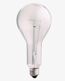 Lamp Png Image - Light Bulbs Nobacks, Transparent Png, Free Download