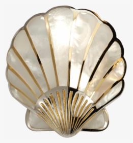 Yo Mother Of Pearl Scallop Shell - Nacre, HD Png Download, Free Download