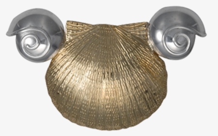 Scallop Png, Transparent Png, Free Download