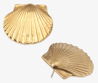 Scallop, HD Png Download, Free Download